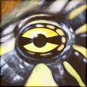 Augenblick einer Rotbauch-Schildkröte; Acryl auf Leinwand;
30 x 30 cm